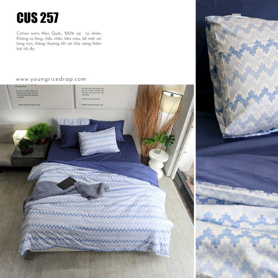 CUS 257